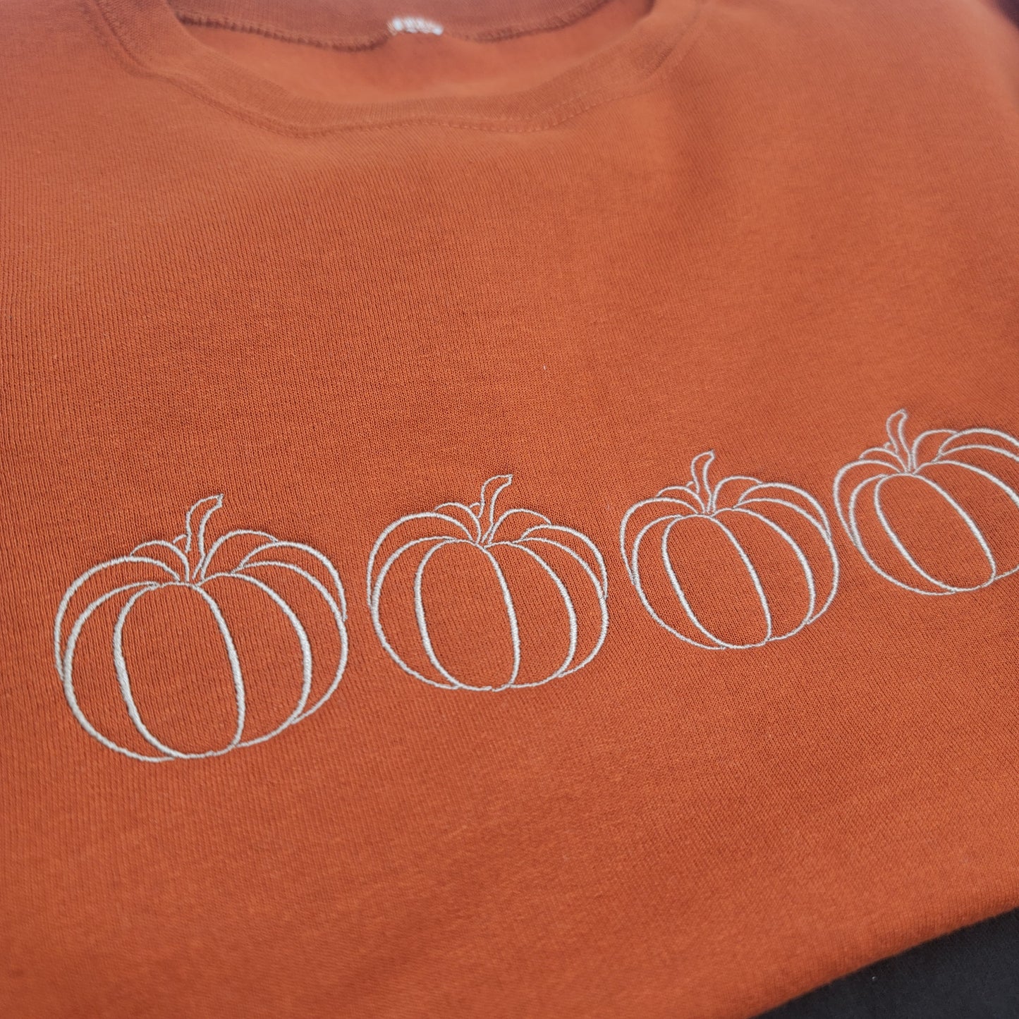 Embroidered Pumpkin Outline Sweatshirt